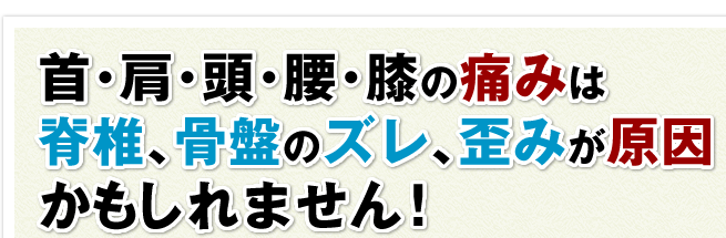 首・肩・頭・腰・膝の痛みは 脊椎、骨盤のズレ、歪みが原因かもしれません!